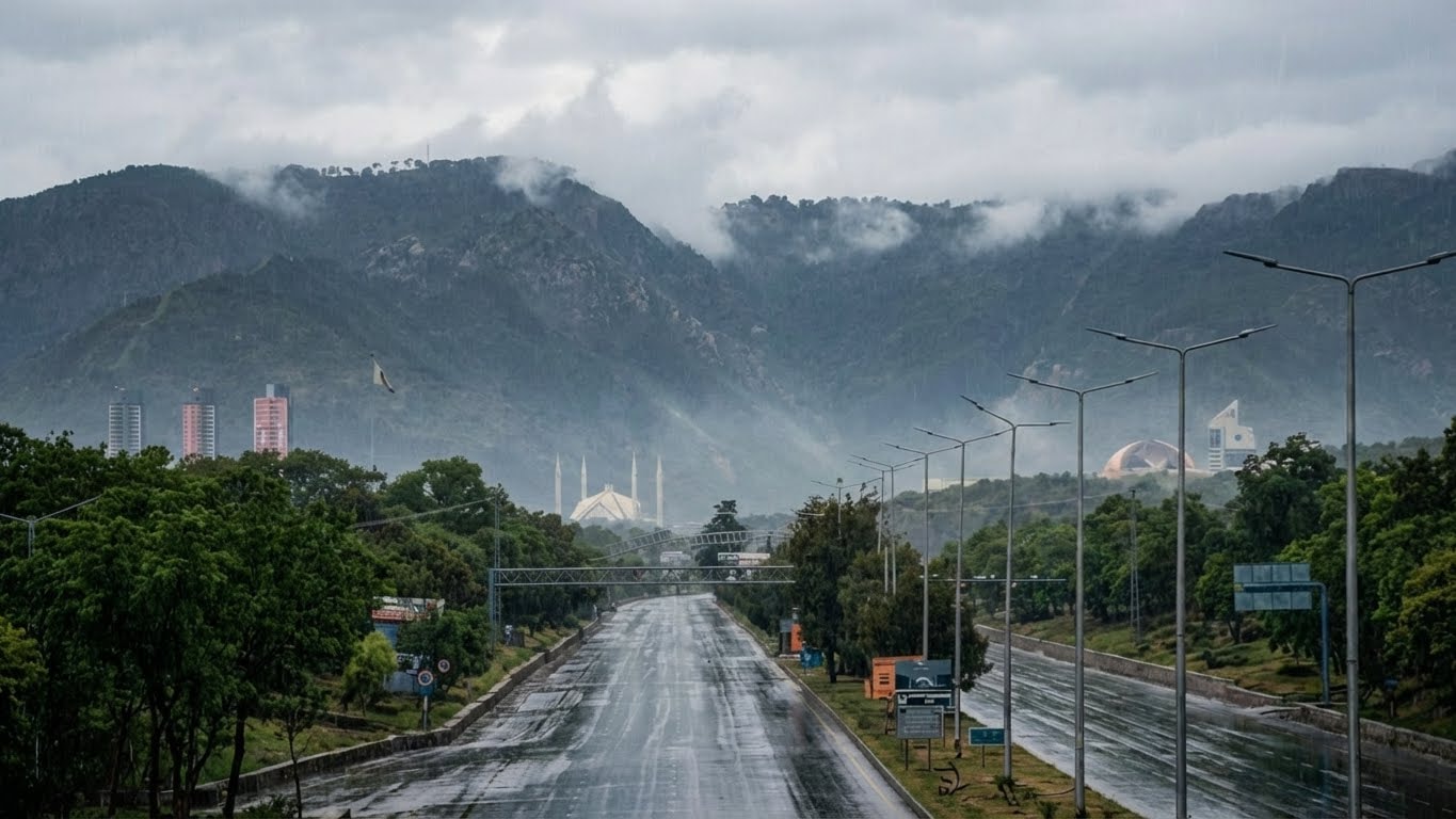 Contact section background